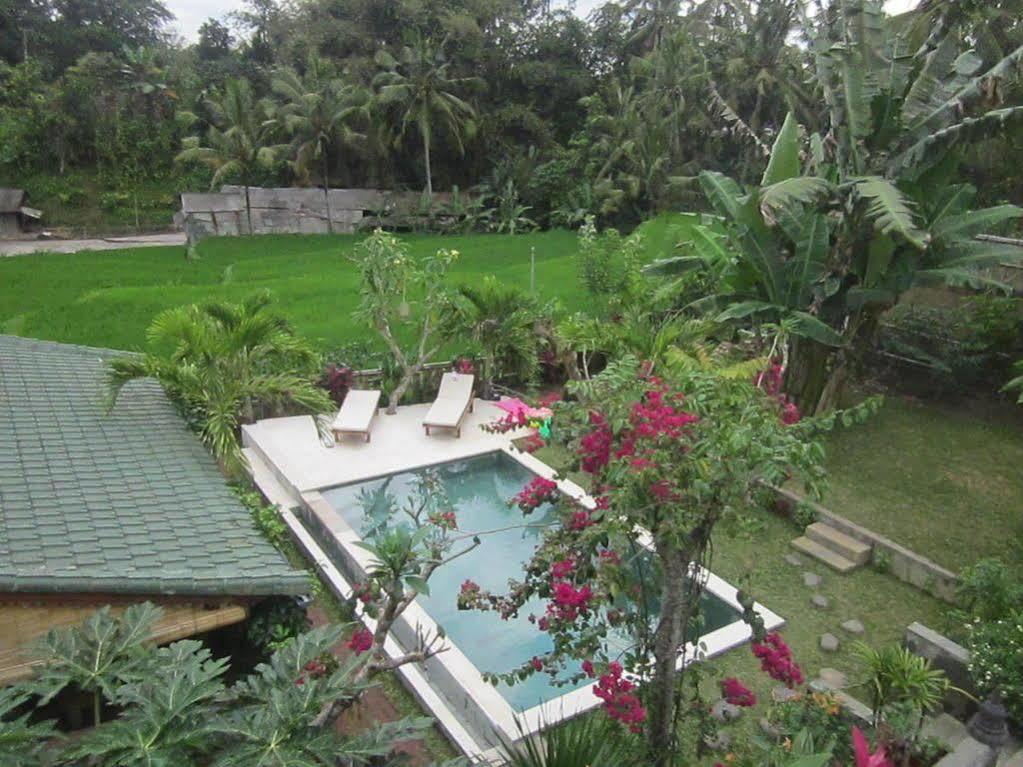 Villa Lumbung Ubud Kültér fotó
